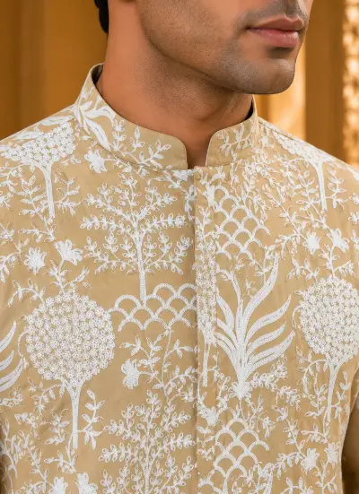 Beige Royal Heritage Embroidered Kurta view 2